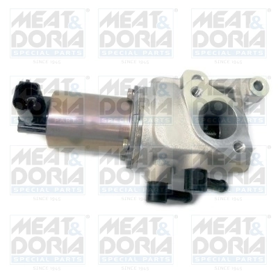 EGR Valve